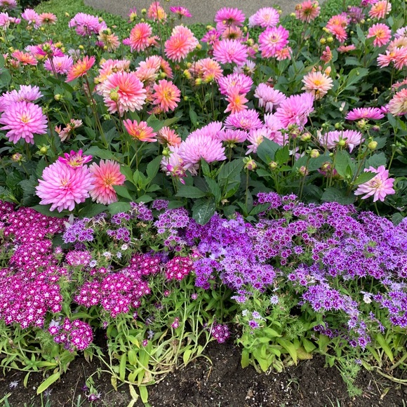 Meet your Posher, R - Picture 1 of 1